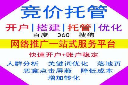 案例解析：SEM投放助力电商增长